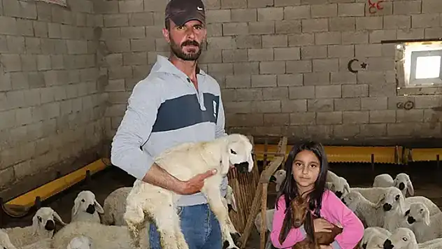 Hepsini banka kredisi ile almıştı! Sabah uyanınca şoke oldu

