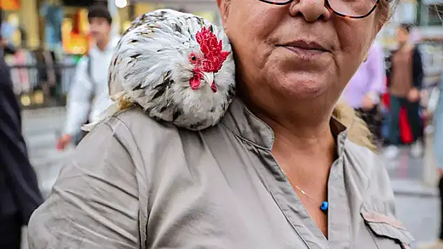 Her yere birlikte gidiyorlar! Görenler şaşkınlıklarını gizleyemiyor