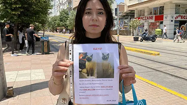 Herkes bayramı kutlarken o sokak sokak kayıp kedisini aradı
