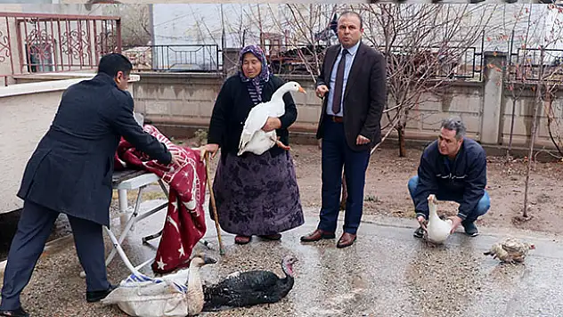 Hindileri çalınan Fadik Teyze'ye hayvan desteği