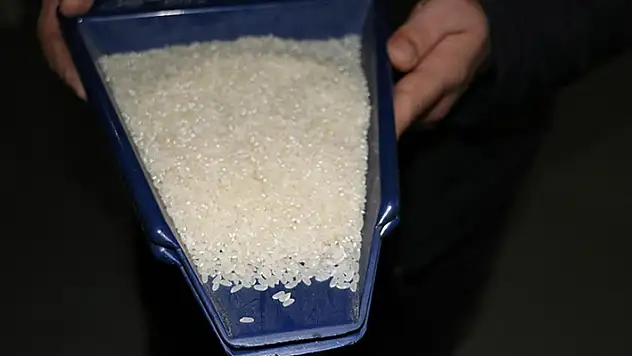 Hindistan, basmati olmayan beyaz pirinç ihracatını yasakladı
