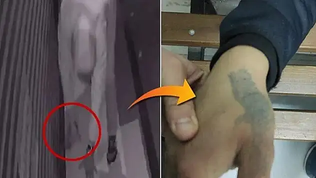 Hırsızı elindeki dövme ele verdi
