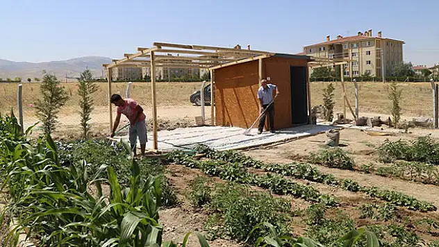 Hobi bahçelerinde hasat zamanı