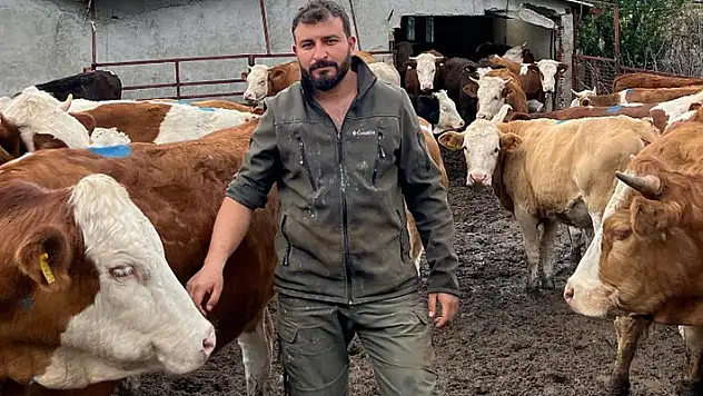 Hobi olarak başladı, Türkiye'nin dört bir yanına hayvan satıyor
