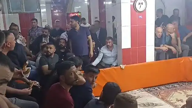 Horoz Koruma Derneğine 'Horoz Dövüşü' operasyonu: 7 gözaltı
