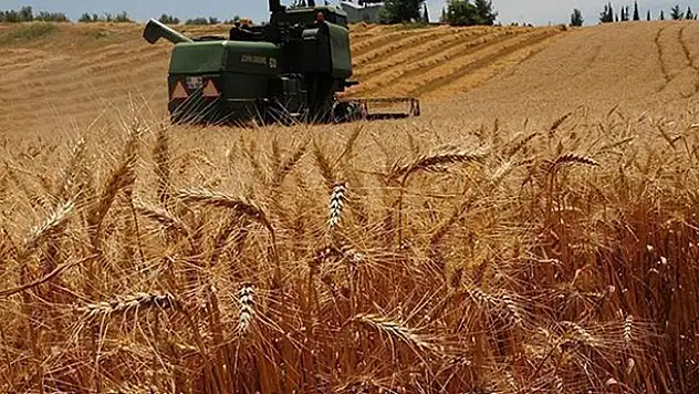 Hububat alım fiyatları açıklandı