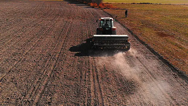 Hububat ekiminde 'uyguna bulduk derken' rekolteden olmayın uyarısı