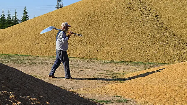 Hububat fiyatları Konya Ovası'nda çiftçiyi sevindirdi