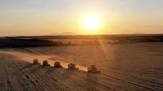 Hububat ve bakliyat ihracatı 4 ayda 3,8 milyar dolara ulaştı
