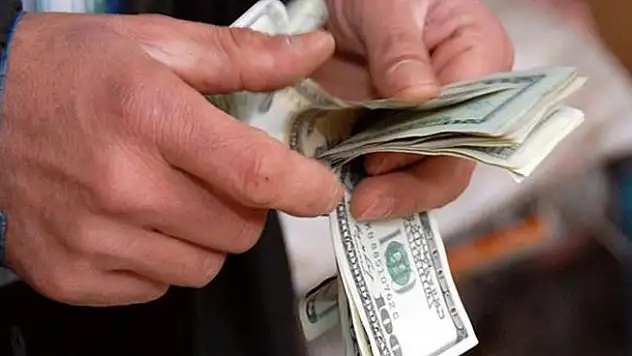 Hükümetten dolar açıklaması