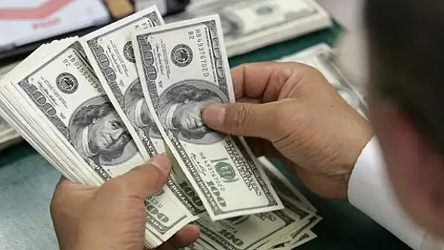 Hükümetten kritik dolar açıklaması