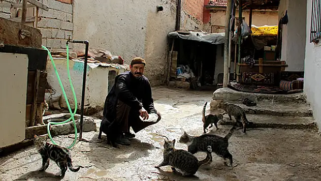 Hurda toplayıp hem ailesine hem de sokak kedilerine bakıyor
