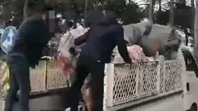 Hurdacı kılığına giren polis, uyuşturucu tacirini şoka uğrattı
