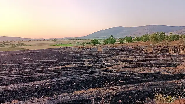 Hüyük'te 2,5 dönümlük arpa ekili tarla yandı
