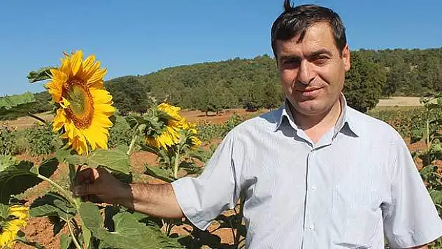 Hüyük'te Ayçiçeği Üretimine Kuş Engeli