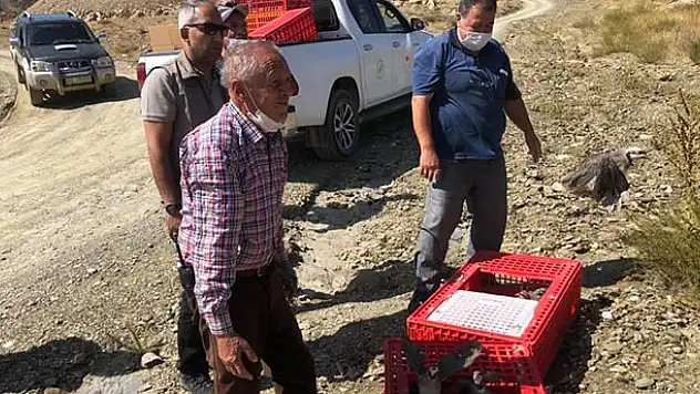 Hüyük'te kınalı keklikler doğayla buluşturuldu
