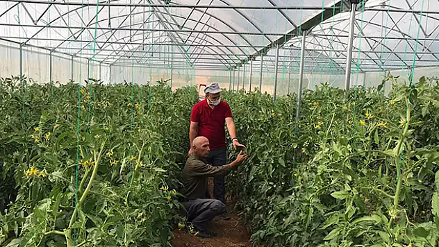 Hüyük'te KOP destekli modern seracılık dönemi