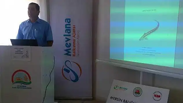 Hüyük'te Mersin balığı yetiştirilecek
