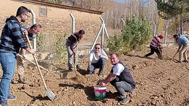 Hüyük'te öğretmenler boş araziye ceviz ve badem fidanı ekti
