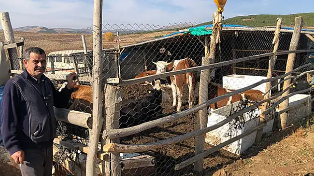 Hüyük'te orman köylüsü 62 aileye 124 gebe düve desteği