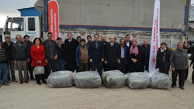 Hüyük'te üreticilere 170 bin adet lavanda fidesi dağıtıldı
