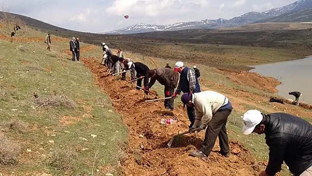 Hüyük'te yeşil seferberliği