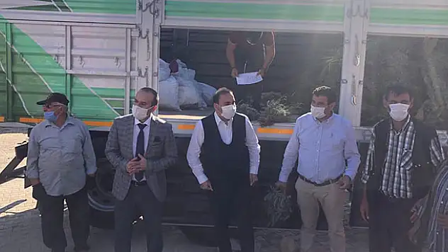Hüyük'ün Çamlıca Dağları lavanta kokacak
