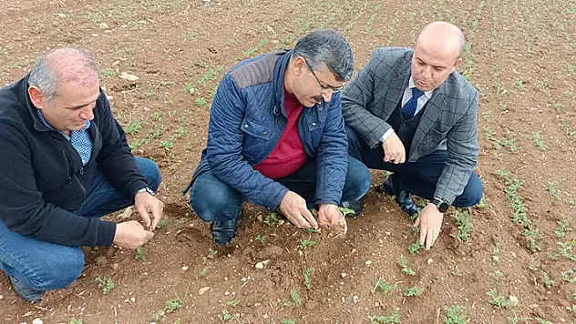 Hüyük'te araziler yağışlarla bereketlendi