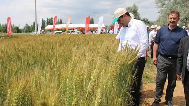 Hüyük'te deneme üretimi yapılan 'Taner' tohumu tanıtıldı
