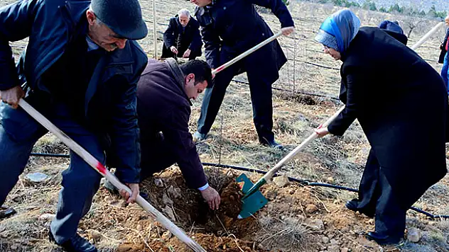Huzurevi sakinleri fidan dikti