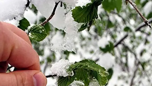 İç Anadolu Bölgesi'ndeki 4 il için kar ve zirai don uyarısı