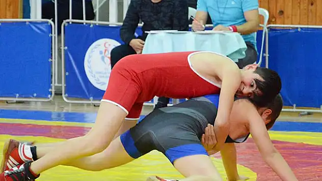 İç Anadolu Güreş Grup Müsabakaları Kırşehir'de yapıldı