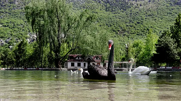 İç Anadolu'nun ortasındaki eşsiz güzellik: Kuğulu Milli Parkı