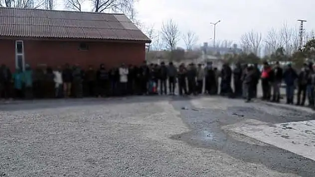 Iğdır'da 50 kaçak yakalandı
