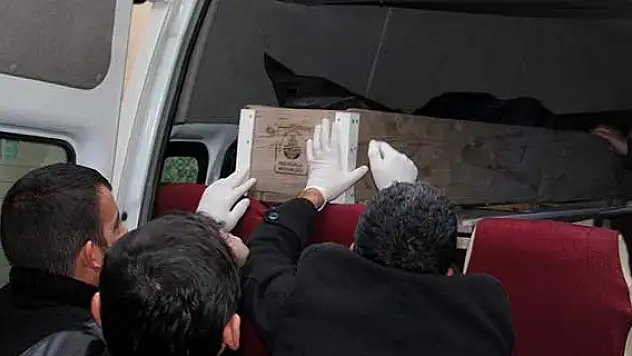 Iğdır'da kardeş cinayeti