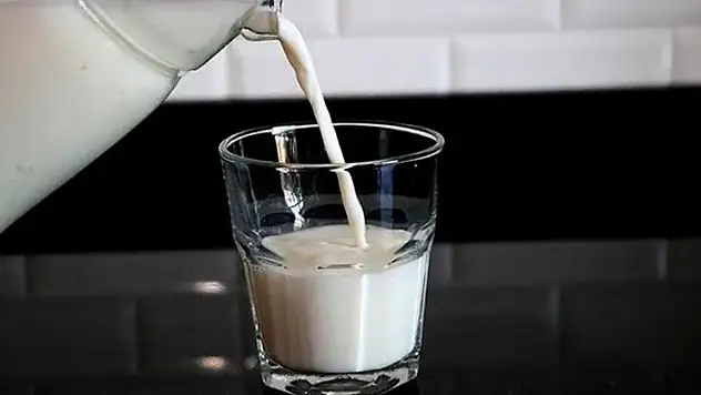 İki bakanlık süt piyasasına yönelik inceleme başlattı
