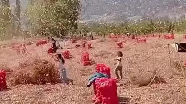 İki çocuk hortumun arasında kaldı
