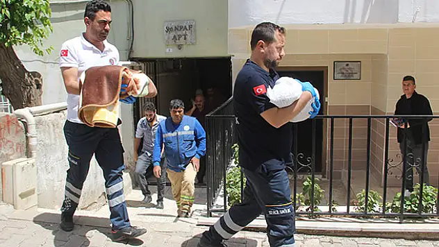 İkiz bebekler evde ölü bulundu