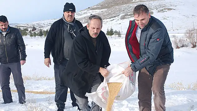 Ilgın'da kuş ve yaban hayvanları unutulmadı