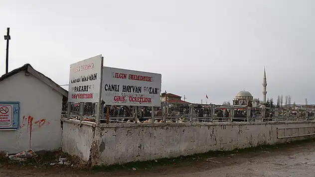 Ilgın'daki hayvan pazarı yeniden faaliyete açıldı