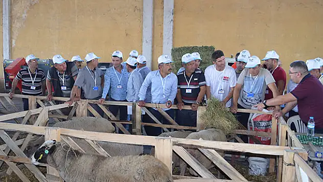 Ilgın Küçükbaş Hayvan Üreticileri Derneği, üyelerini fuara götürdü