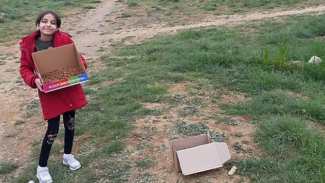 İlkokul öğrencisi kumbarasındaki parayla sokak hayvanlarına yiyecek aldı