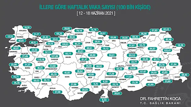 İllere göre her 100 bin kişide görülen Kovid-19 vaka sayıları açıklandı! Konya'da oran 45,82
