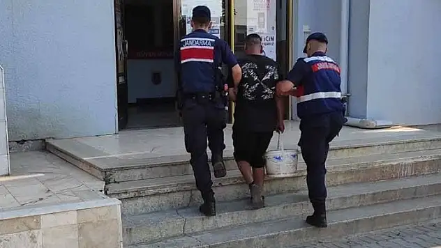 İncir hırsızı suçüstü yakalandı
