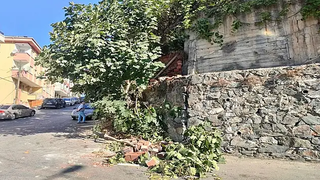 İncir sevdası canından ediyordu! 13 yaşındaki kız kırılan dalla birlikte tuğlalarına altında kaldı