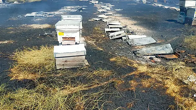 İncirliova'da çıkan ot yangınında 250 kovan kül oldu
