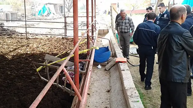 İneğin teptiği adam öldü
