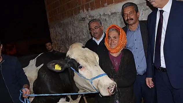 İneğinin arkasından gözyaşı döken nine için Bakanlık harekete geçti