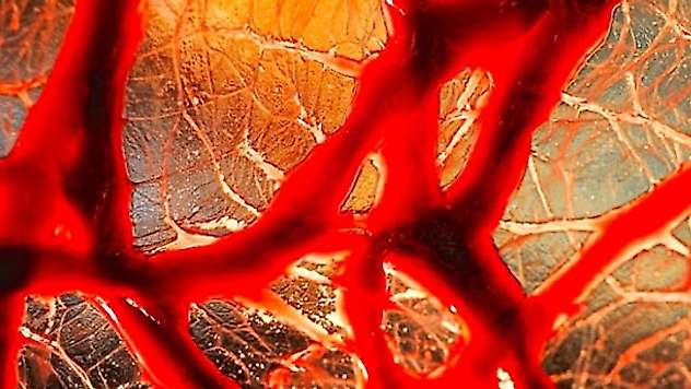 İnsan vücudunda yeni organ bulundu