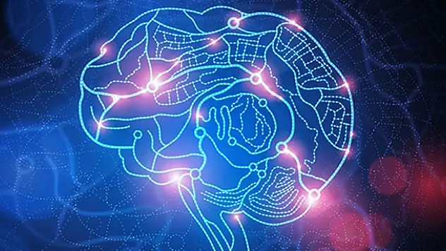IQ'nuzu arttırmanın mümkün olduğunu biliyor muydunuz?